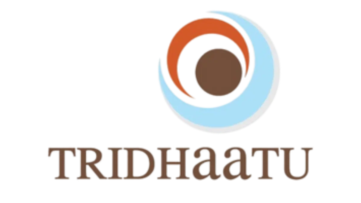 Logo 13